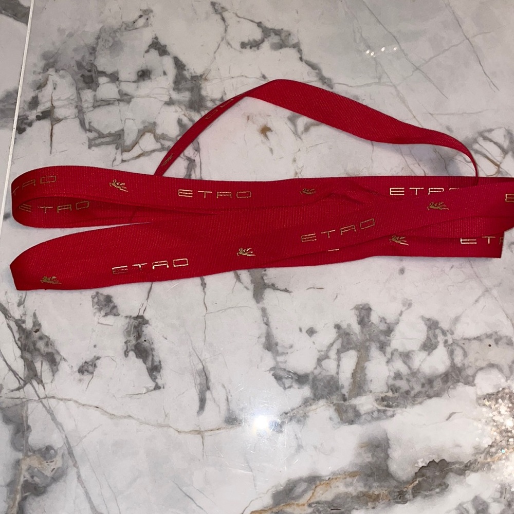 Etro Ribbon 🎀 9&” - Picture 5 of 7